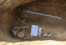 Тайна гробницы, найденной возле села Глиное, раскрыта гробницы анализ археологи возраст