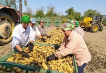 Как проходит уборочная кампания в Приднестровье уборочная кампания в Приднестровье