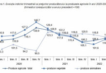 За год цены на продукты в Молдове поднялись на 109,5% цены в Молдове