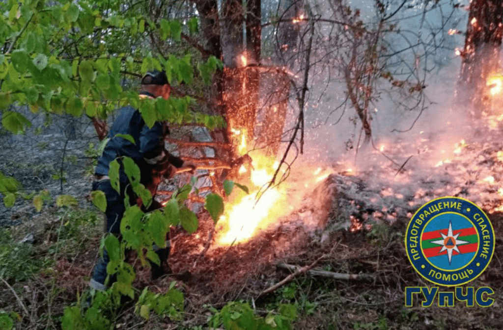 учения, Приднестровье, лесные, пожары, госслужбы