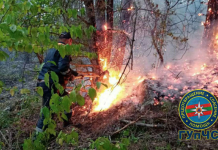 В Приднестровье пройдут учения по тушению лесных пожаров учения, Приднестровье, лесные, пожары, госслужбы