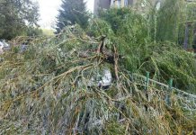 Сильный ветер бушевал в Приднестровье ветер