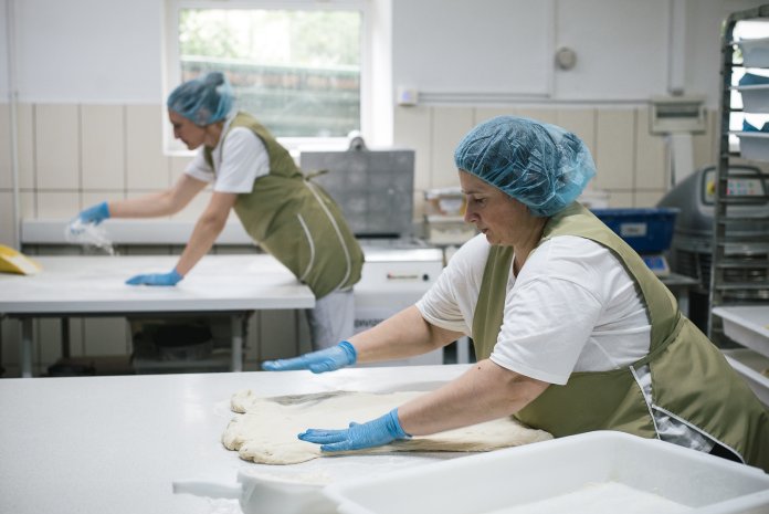 молдавские предприятия организация развития