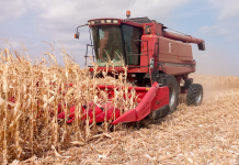 Конкурс на логотип года объявили в Приднестровье логотип