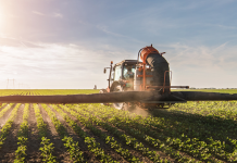 Дефицит агрохимикатов в Приднестровье ударит по урожаю президент союза агрохимикатов дефицит урожай удобрений Приднестровье