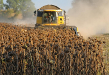 Урожай в этом году в Приднестровье меньше, чем в прошлом урожай, Приднестровье