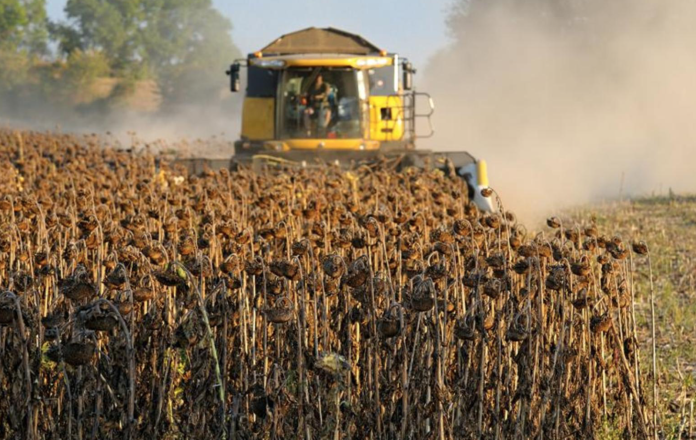 урожай урожай, Приднестровье