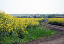 Электронный кадастр земель формируют в Приднестровье электронный работа Приднестровье кадастра