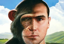 Гибриды человека и животных: это реальность гибриды, учёные