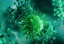 В пандемии COVID-19 Китай не виноват причина, коронавирус