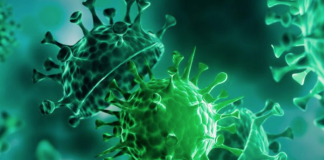 В пандемии COVID-19 Китай не виноват причина, коронавирус