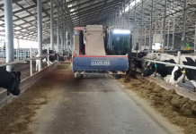 Молочная ферма «Фиальт-Агро» получит субсидии ферма