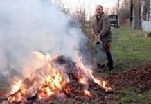 В Приднестровье горят костры из опавшей листвы опавшей листвы