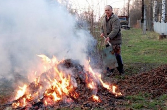 костёр опавшей листвы