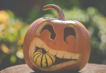 Самые полезные продукты осенью полезные организм продукты осенью