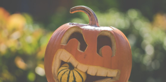 Самые полезные продукты осенью полезные организм продукты осенью