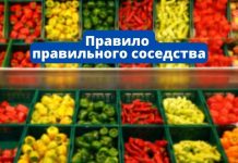 В Молдове вводят правило «правильного соседства» товаров в плодоовощных отделах магазинов Правило правильного соседства