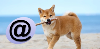 Почему символ @ стал собакой? собака символ электронной почты
