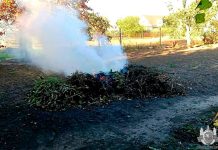 Тысяча рублей и более, штраф за сжигание листвы сжигание листвы
