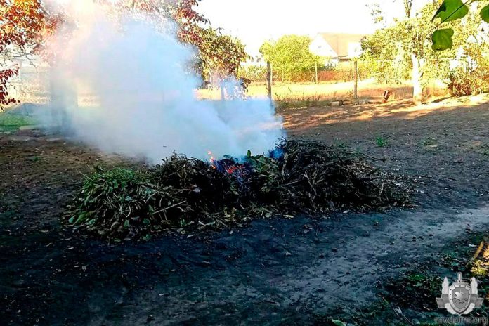 сжигание листвы