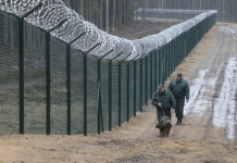 Парламент Финляндии одобрил забор на границе с Россией забор, граница, Финляндия, Россия
