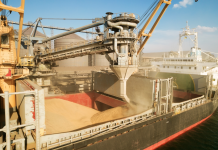 Россия вышла из «зерновой» сделки Россия отказалась от зерновой сделки