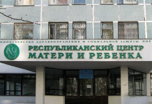 Оптимизация родильных домов: как это будет родильные дома, оптимизация системы здравоохранения