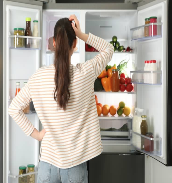 холодильник без электричества