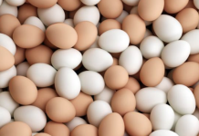 Продуктов в Приднестровье достаточно, но есть дефицит яиц ПМР, Приднестровье, правительство, продуктов достаточно, министр