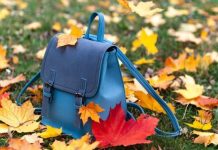 В школах Приднестровья из-за газового кризиса продлили каникулы каникулы продлены из-за газового кризиса