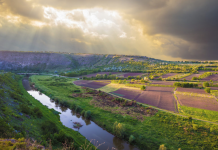 Евродепутат назвала причины проблем в экономике Молдовы депутат, экономика Молдовы, министр окружающей среды