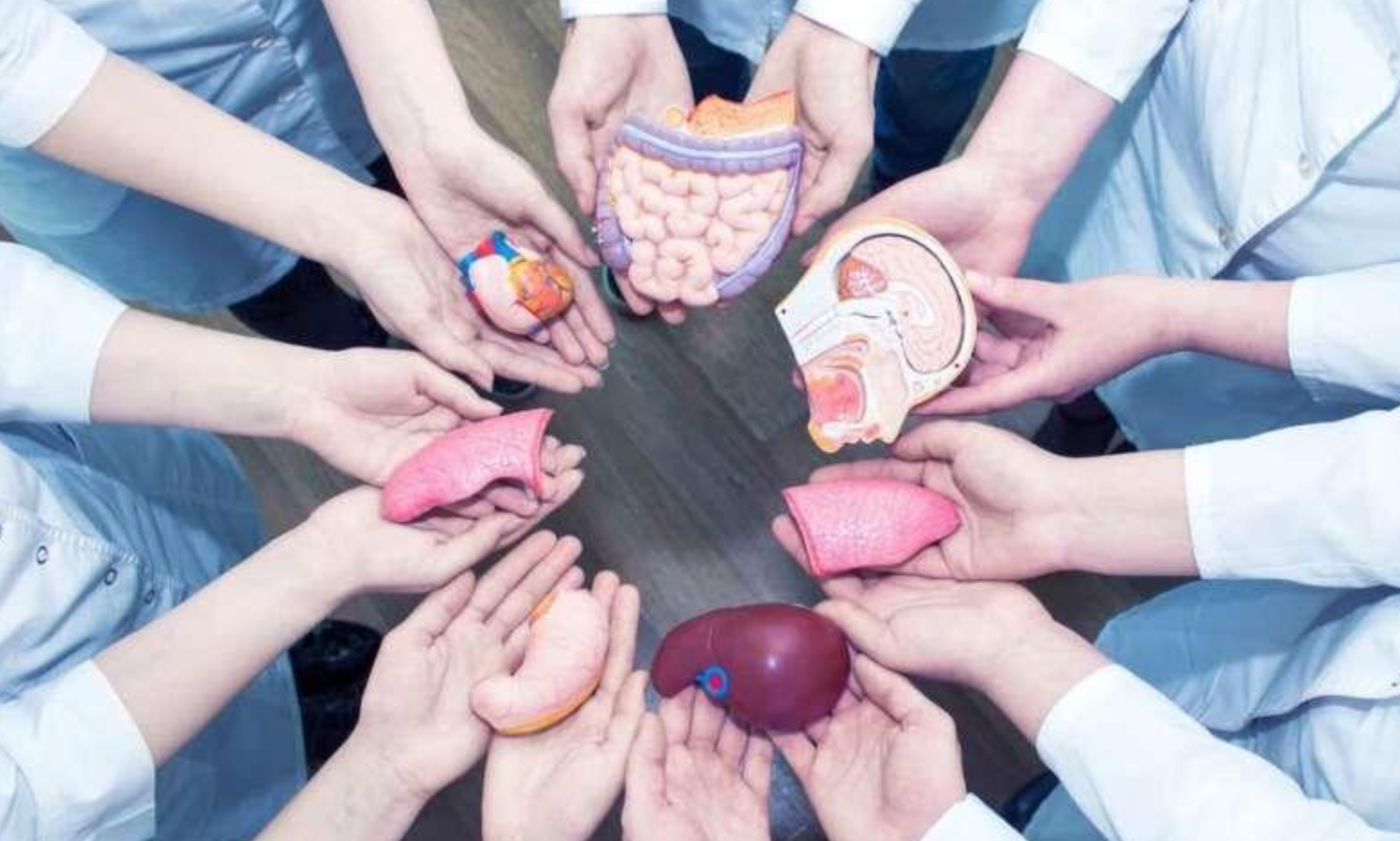 Трансплантация органов и тканей. Трансплантология органов и ткани. Донорство органов и тканей. Пересадка донорских органов