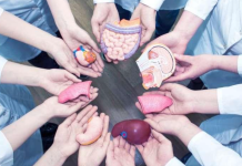 Процедура признания человека донором не изменится доноров органы