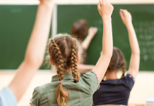 Как будут работать школы и детские сады в случае газового кризиса в Приднестровье директор школы Приднестровье, учебный год, каникулы, школьники