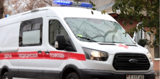 В Бендерах собака порвала хозяев счётчик