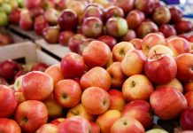 Сезонную таможенную пошлину на импортные яблоки вводят в Приднестровье импорт, яблоки, пошлина