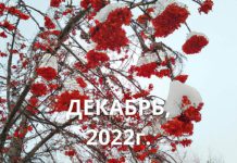 Наступил самый зимний месяц в китайском календаре Самый зимний месяц в китайском календаре