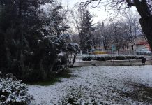 Погода 11 декабря 2023 года в Приднестровье туман, снег, гололедица