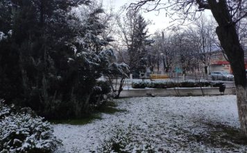 Погода 29 января 2024 года в Приднестровье туман, снег, гололедица