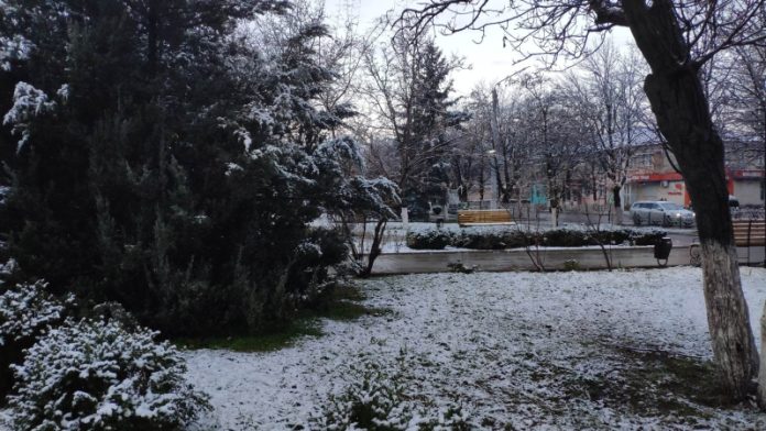 туман, снег, гололедица