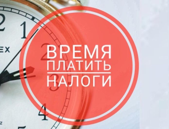 Сроки уплаты налогов для индивидуальных предпринимателей