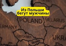 Мужчины массово бегут из Польши, пытаясь избежать мобилизации Из Польши бегут мужчины