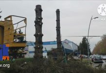 Почему в Рыбнице спилили ели?