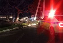 В Рыбнице Mazda влетела в дерево Mazda. Фото пресс-центр МВД ПМР