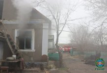 Пенсионер и его собака погибли в пожаре Владимировка, пенсионер, погиб, собака