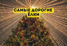 Обзор самых дорогих новогодних ёлок ёлки