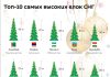 Топ 10 новогодних ёлках установленных в столицах стран СНГ Топ самых высоких ёлок. Фото Спутник мд