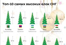 Топ 10 новогодних ёлках установленных в столицах стран СНГ Топ самых высоких ёлок. Фото Спутник мд