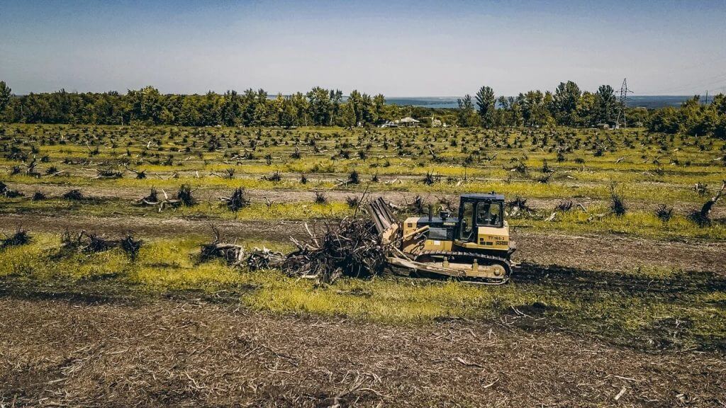 Выкорчёвка садов, виноградников