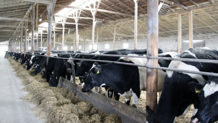 требования к животноводам, господдержка, дотации